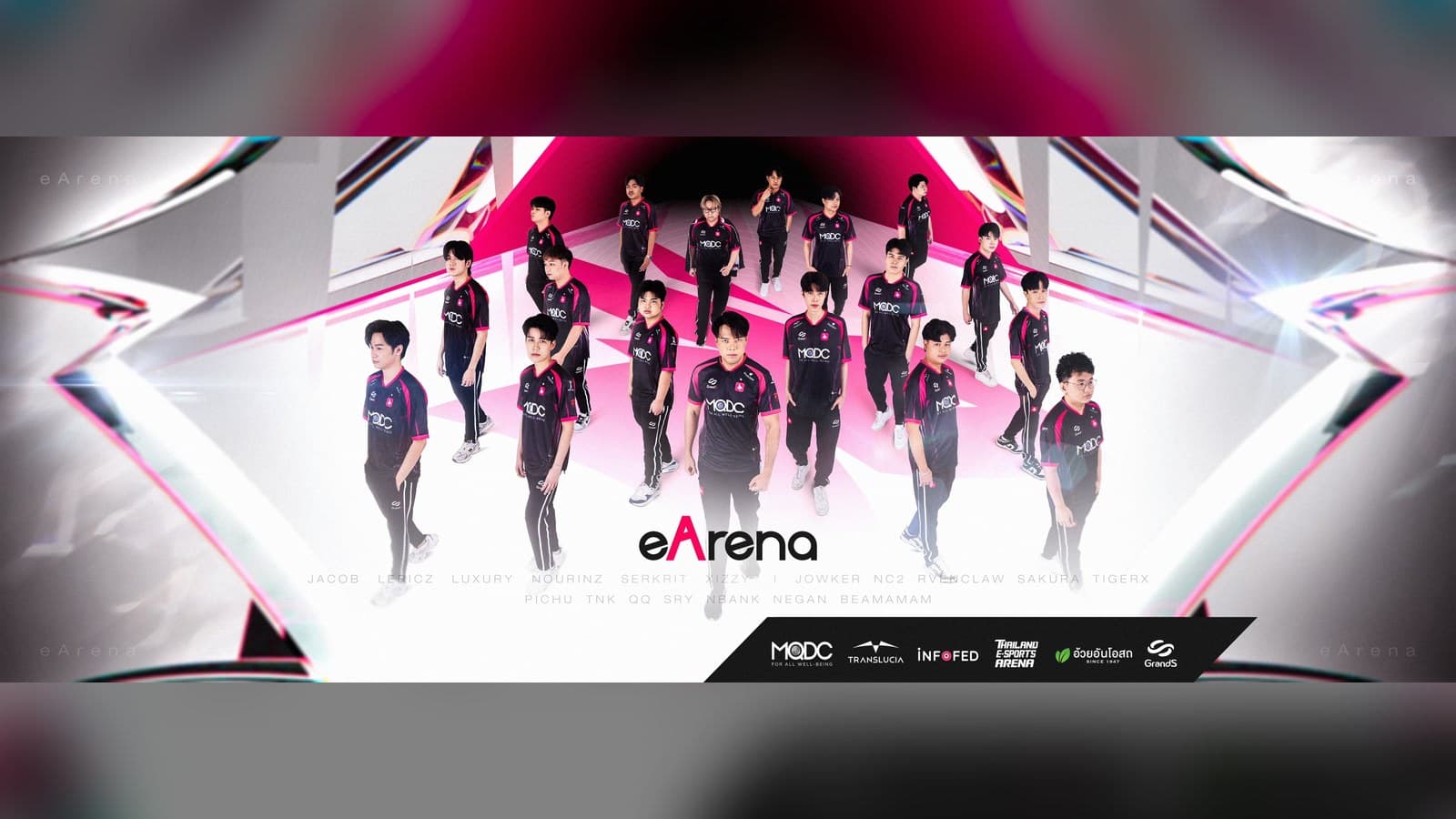 อีอารีน่า eArena